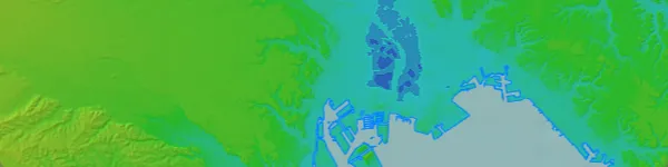 国土地理院色別標高図